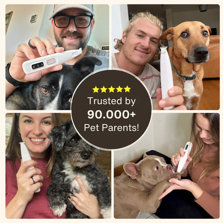 Pet MicroPrecision Trimmer